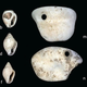 Imagen para el artículo titulado El descubrimiento de un bebé en una tumba ornamentada de hace 10.000 años ha dejado sorprendidos a los arqueólogos